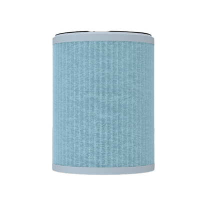 Clario Replacement Filter