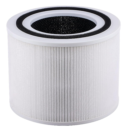 Ionis Replacement Filter