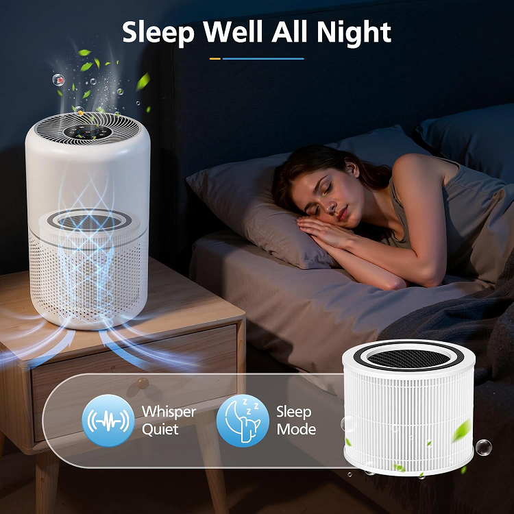 Ionis Replacement Filter