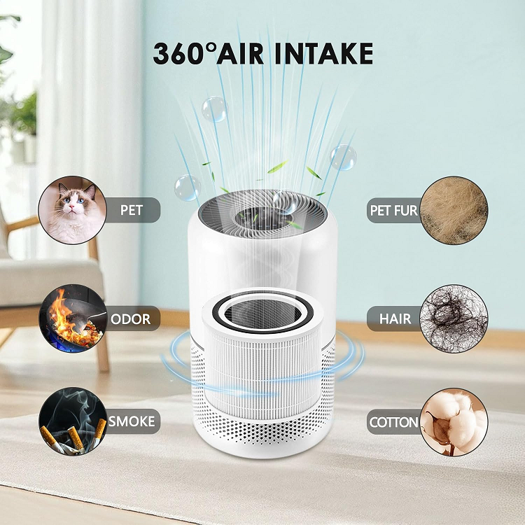 Ionis Replacement Filter