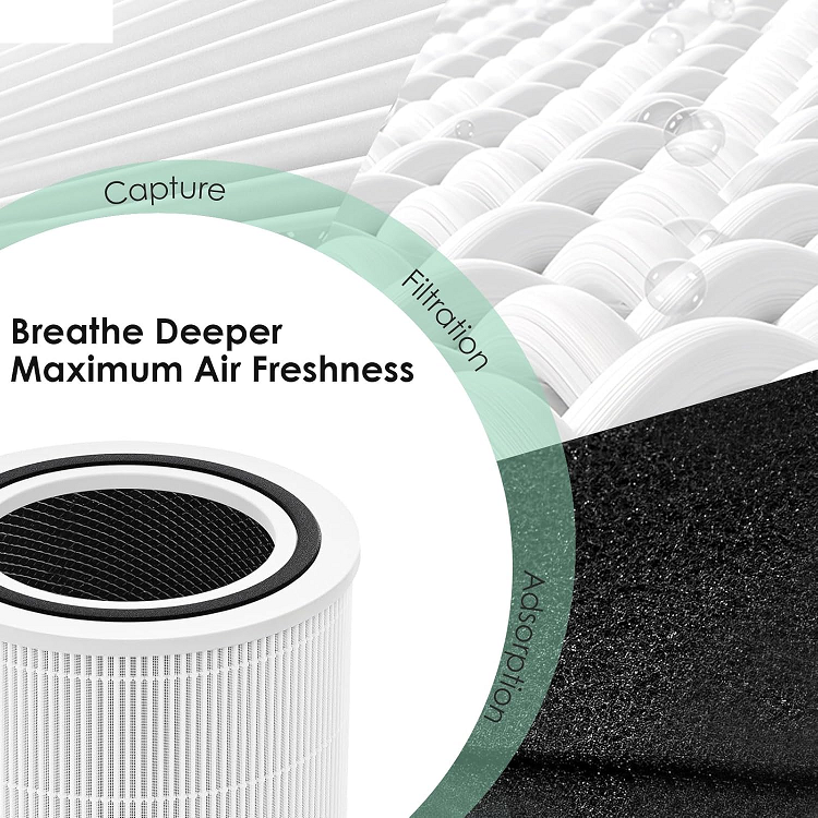 Ionis Replacement Filter
