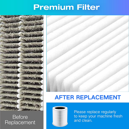 Breatheo Replacement Filter